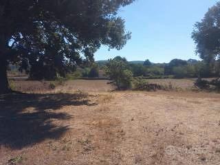 Terreno agricolo oriolo romano vt - Vista 2