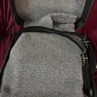 Organetto 4 bassi dino baffetti