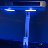 Lampada Nemolight T140
