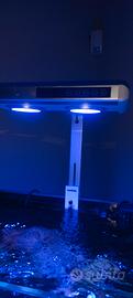 Lampada Nemolight T140