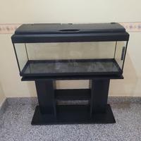acquario 117 litri +supporto mobiletto +accessori