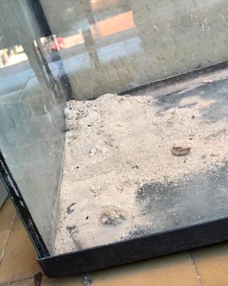 Acquario 200 LT