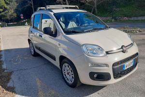 Fiat Panda 1.2  69cv Easy color Beige con 39000 Km