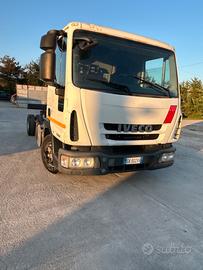 Iveco cambio automatico