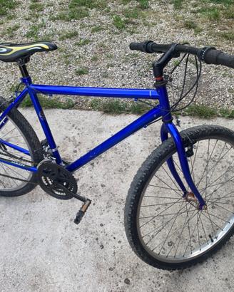 Bici da 26