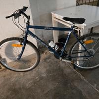 Bicicletta