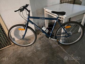Bicicletta