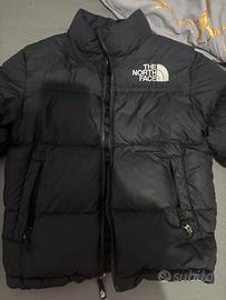 Giubotto the nort face