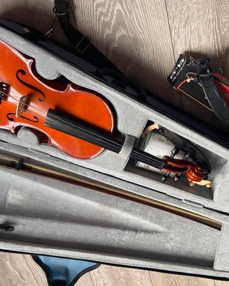 violino