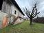 Immagine 14