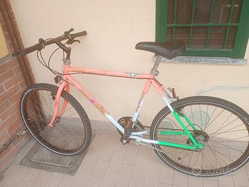 bicicletta