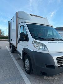 Fiat Ducato Frigo