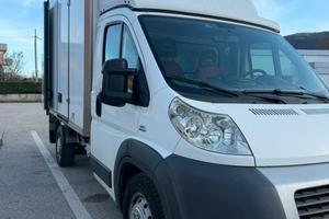 Fiat Ducato Frigo