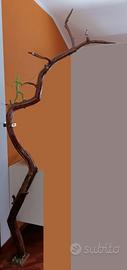 ARREDO! Scultura ramificata