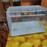 gabbia 