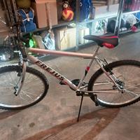 bicicletta da strada 