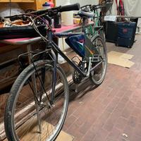 Bicicletta Frecce Tricolore
