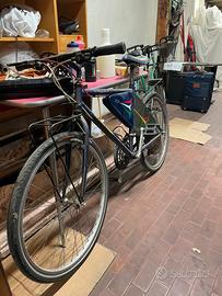 Bicicletta Frecce Tricolore