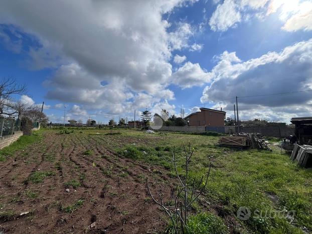 TER. RESIDENZIALE A NETTUNO