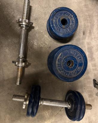 Pesi in ghisa + manubri