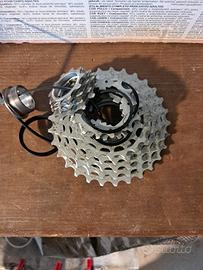 pacco pignoni 10/29 campagnolo Superecord 