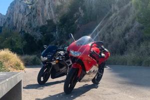 Aprilia rs 50