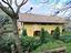 Immagine 8