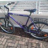 Mountain bike viola