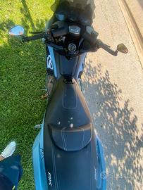 Scoter