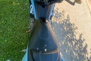 Scoter