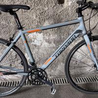 Bici muscolare torpado kcs arwin uomo