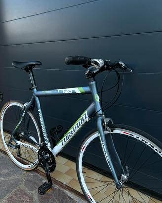 Torpado KCS Arwin tg. 57 Bici ibrida corsa/fitness