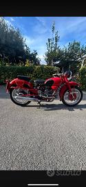 Moto Guzzi falcone 500 airone