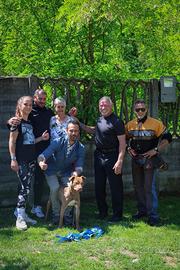 Cuccioli di razza con pedigree ufficiale