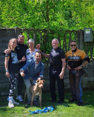 Cuccioli di razza con pedigree ufficiale
