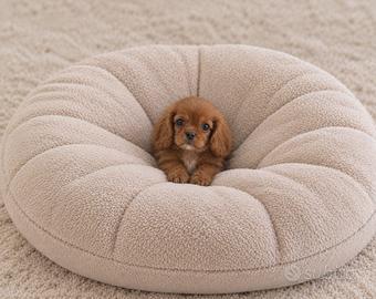 Cavalier King Charles Spaniel Ruby Taglia piccola