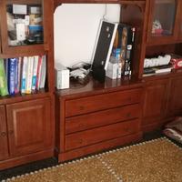 Composizione soggiorno libreria porta Tv