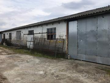 Capannone artigianale