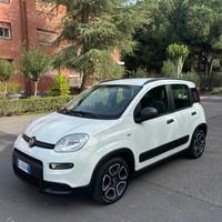 Fiat Panda 1.2 City Life gpl 2022 FULL optional