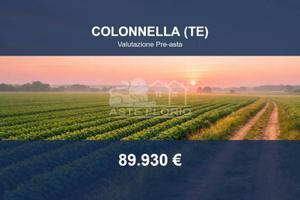 Immobile in asta di 14358 m² a Colonnella