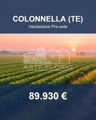 Immobile in asta di 14358 m² a Colonnella