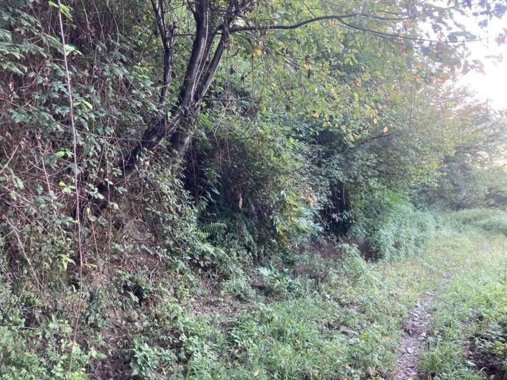 Immobile in asta di 5730 m² a Calcinate - Vista 4