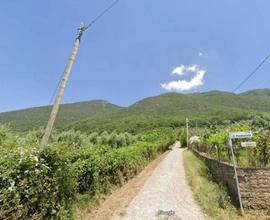 TERRENO AGRICOLO -PALOMBARA SABINA-