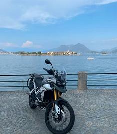 Triumph Tiger Rally PRO 900