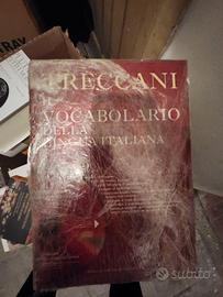 treccani vocabolario della lingua italiana