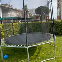 Saltarello 2,50 metri