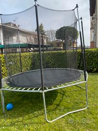 Saltarello 2,50 metri