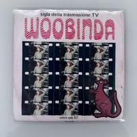 Woobinda 45G - Riccardo Zara