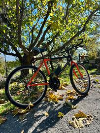 Bicicletta Mountain Bike Bottecchia
