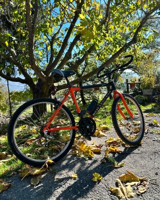 Bicicletta Mountain Bike Bottecchia
